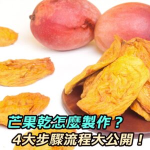 芒果乾怎麼製作？4大步驟流程大公開！